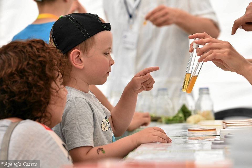 Piknik rodzinny Nauka też sztuka 2017 (12)